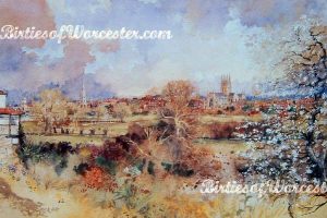 Over the Chapter Meadows