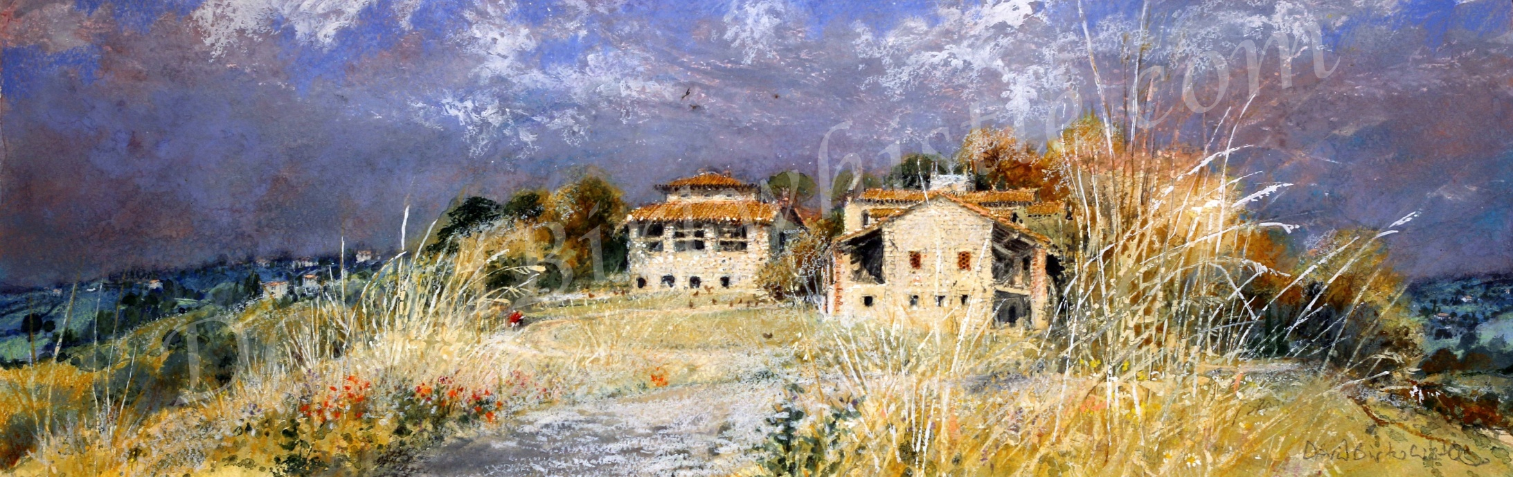 Farm, Monzone, Emilia Romagna