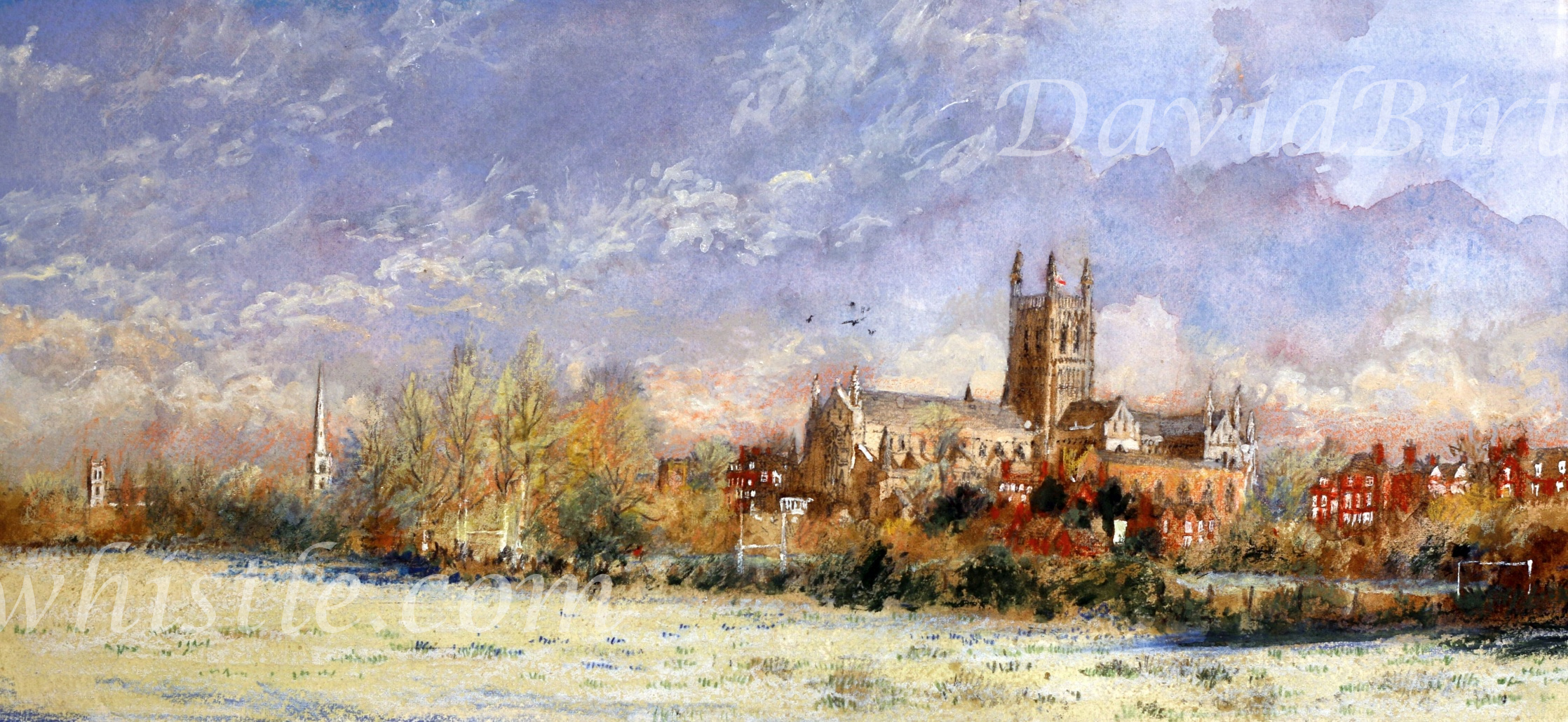 Morning Light, Chapter Meadows